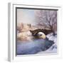 Central Park Bridge-Esther Engelman-Framed Art Print