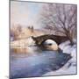 Central Park Bridge-Esther Engelman-Mounted Art Print