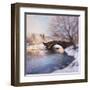 Central Park Bridge-Esther Engelman-Framed Art Print