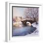 Central Park Bridge-Esther Engelman-Framed Art Print