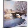 Central Park Bridge-Esther Engelman-Mounted Art Print