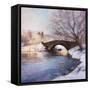 Central Park Bridge-Esther Engelman-Framed Stretched Canvas