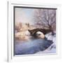 Central Park Bridge-Esther Engelman-Framed Art Print