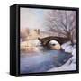 Central Park Bridge-Esther Engelman-Framed Stretched Canvas