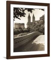 Central Park Bridges 1-Chris Bliss-Framed Art Print