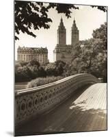 Central Park Bridges 1-Chris Bliss-Mounted Art Print