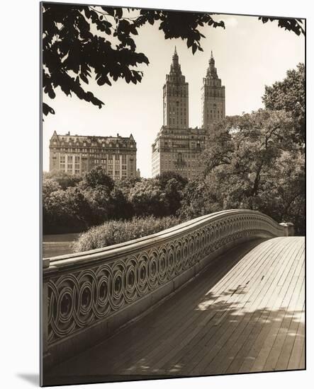 Central Park Bridges 1-Chris Bliss-Mounted Art Print