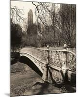 Central Park Bridges 2-Chris Bliss-Mounted Art Print