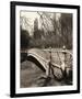 Central Park Bridges 2-Chris Bliss-Framed Art Print