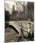 Central Park Bridges 2-Chris Bliss-Mounted Art Print