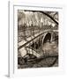 Central Park Bridges 3-Chris Bliss-Framed Art Print