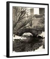 Central Park Bridges 4-Chris Bliss-Framed Art Print