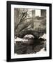 Central Park Bridges 4-Chris Bliss-Framed Art Print