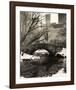 Central Park Bridges 4-Chris Bliss-Framed Art Print