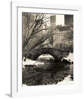 Central Park Bridges 4-Chris Bliss-Framed Art Print