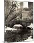 Central Park Bridges 4-Chris Bliss-Mounted Art Print