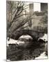 Central Park Bridges 4-Chris Bliss-Mounted Art Print