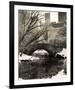 Central Park Bridges 4-Chris Bliss-Framed Art Print