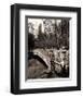 Central Park Bridges II-Christopher Bliss-Framed Giclee Print