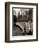 Central Park Bridges II-Christopher Bliss-Framed Giclee Print