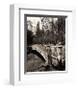 Central Park Bridges II-Christopher Bliss-Framed Giclee Print