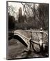 Central Park Bridges II-Christopher Bliss-Mounted Giclee Print