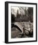 Central Park Bridges II-Christopher Bliss-Framed Giclee Print