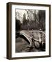 Central Park Bridges II-Christopher Bliss-Framed Giclee Print