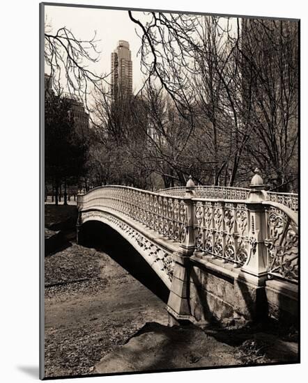 Central Park Bridges II-Christopher Bliss-Mounted Giclee Print