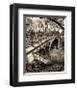 Central Park Bridges III-Christopher Bliss-Framed Giclee Print