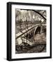 Central Park Bridges III-Christopher Bliss-Framed Giclee Print