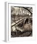 Central Park Bridges III-Christopher Bliss-Framed Giclee Print