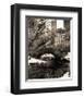 Central Park Bridges IV-Christopher Bliss-Framed Giclee Print