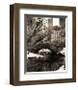 Central Park Bridges IV-Christopher Bliss-Framed Giclee Print