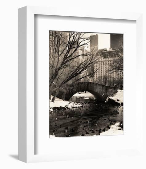 Central Park Bridges IV-Christopher Bliss-Framed Giclee Print