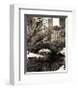 Central Park Bridges IV-Christopher Bliss-Framed Giclee Print