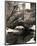 Central Park Bridges IV-Christopher Bliss-Mounted Giclee Print