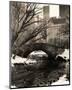 Central Park Bridges IV-Christopher Bliss-Mounted Giclee Print