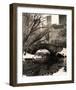 Central Park Bridges IV-Christopher Bliss-Framed Giclee Print