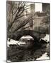 Central Park Bridges IV-Christopher Bliss-Mounted Giclee Print