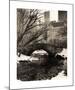 Central Park Bridges IV-Christopher Bliss-Mounted Giclee Print