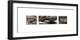 Central Park Bridges (tryptych)-Christopher Bliss-Framed Giclee Print