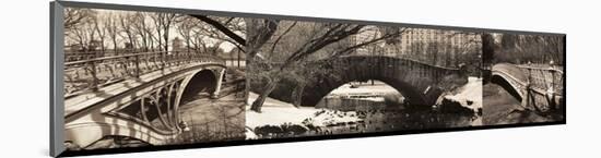 Central Park Bridges (tryptych)-Chris Bliss-Mounted Art Print