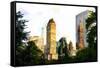 Central Park Buildings II-Philippe Hugonnard-Framed Stretched Canvas