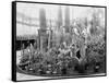 Central Park Cactus Show-null-Framed Stretched Canvas