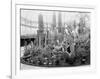 Central Park Cactus Show-null-Framed Photographic Print