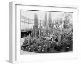 Central Park Cactus Show-null-Framed Photo