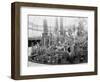 Central Park Cactus Show-null-Framed Photographic Print