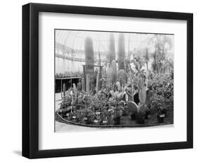 Central Park Cactus Show-null-Framed Photographic Print