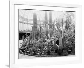 Central Park Cactus Show-null-Framed Photo